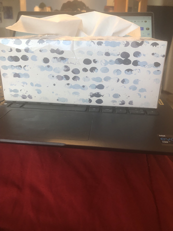 Laptop Kleenex bedcovers