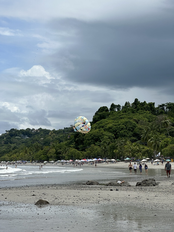 The beach 